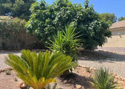 vakantiehuis valencia - tuin 5